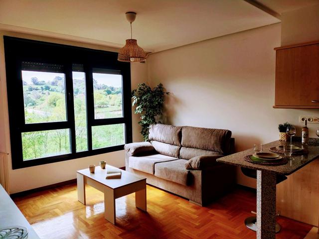Estudio en alquiler en Oviedo, gastos incluidos photo 0