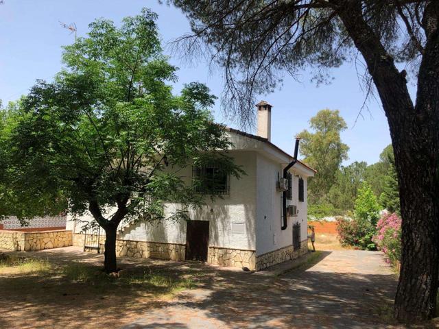 Piso de 4 habitaciones en alquiler en Córdoba photo 0
