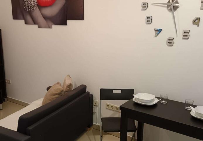 Piso en alquiler de 1 dormitorio en Barrio De La Latina photo 0