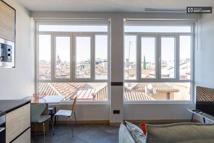 apartamento de 1 dormitorio en alquiler en Malasaña photo 0