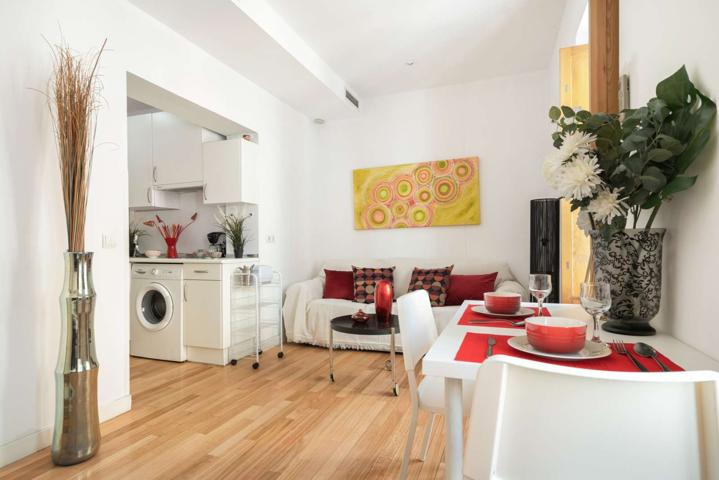 Apartamento de 1 dormitorio en alquiler en Puerta del Ángel, Madrid photo 0
