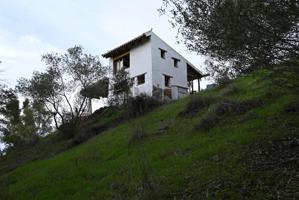 Estudio en alquiler en Huelva, gastos incluidos photo 0