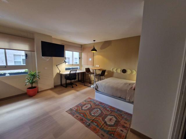 Estudio en alquiler en San Vicente del Raspeig, todos los gastos incluidos photo 0