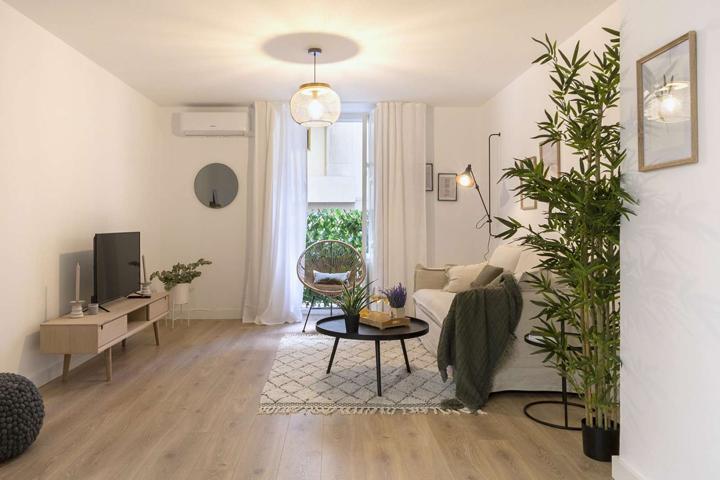 Estudio en alquiler en Sant Francesc photo 0