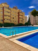 Estudio en alquiler en Benidorm, gastos incluidos photo 0