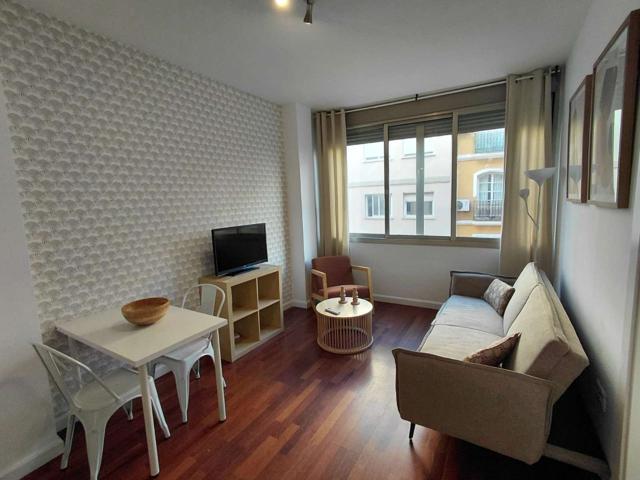 Apartamento de 1 dormitorio en alquiler en La Victoria, Málaga photo 0
