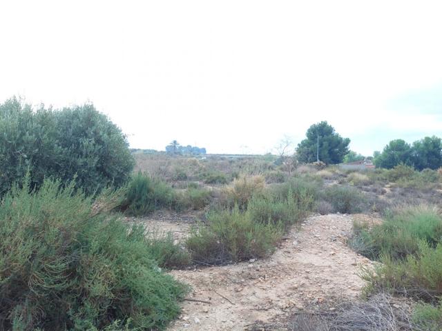 Se vende terreno de 12.800m2 photo 0