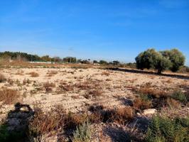 Se vende terreno de 13.000m2 en zona Squash photo 0