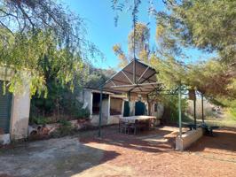 Se vende parcela con casa cueva photo 0