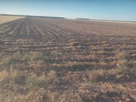 Parcela de secano photo 0