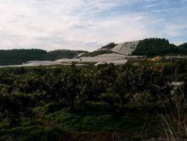 Venta de terreno en Callosa d'en Sarrià photo 0