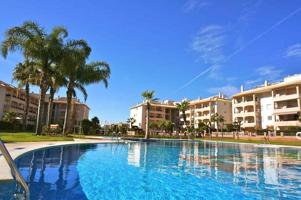 Atico con solarium de 3 dormitorios en Playa Flamenca - Sur - TM Res. Lagunagolf photo 0