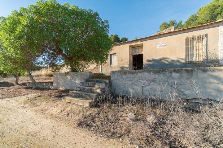 FINCA RUSTICA CON VIVIENDA PARA REHABILITAR EN PILAR DE LA HORADADA photo 0