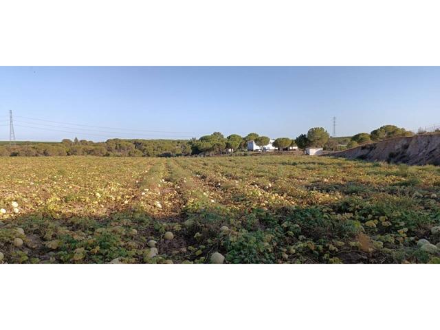 Terreno en venta en Cartaya photo 0