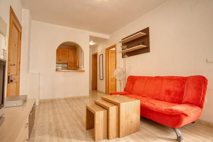 GRAN APARTAMENTO EN TORREVIEJA, 1 HAB, 1 BAÑO photo 0