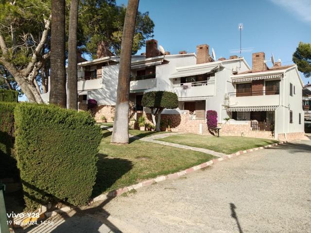 GRAN APARTAMENTO EN ORIHUELA COSTA, 2 HAB, 1 BAÑO photo 0