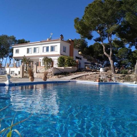 GRAN FINCA DE 10.000 METROS DE PARCELA EN TORREVIEJA, 8 HAB, 3 BAÑOS photo 0