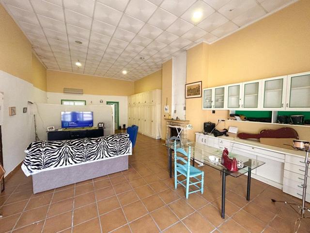 GRAN LOFT EN PLANTA BAJA EN TORREVIEJA, 1 HAB, 1 BAÑO photo 0