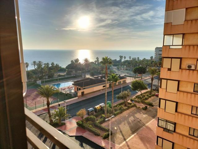 GRAN APARTAMENTO CON VISTAS AL MAR EN TORREVIEJA, 1 HAB, 1 BAÑO photo 0