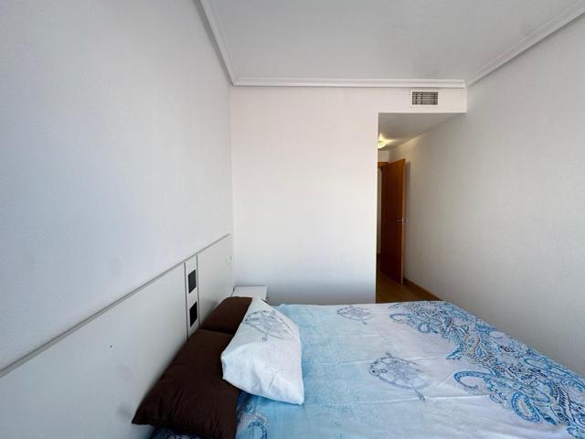 GRAN APARTAMENTO EN TORREVIEJA, 3 HAB, 2 BAÑOS photo 0