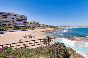 GRAN ADOSADO EN TORREVIEJA, 2 HAB, 1 BAÑO photo 0