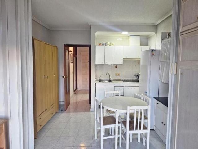 GRAN ESTUDIO EN TORREVIEJA, 1 BAÑO photo 0