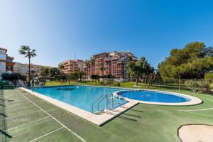 GRAN APARTAMENTO EN TORREVIEJA, 1 HAB, 1 BAÑO photo 0