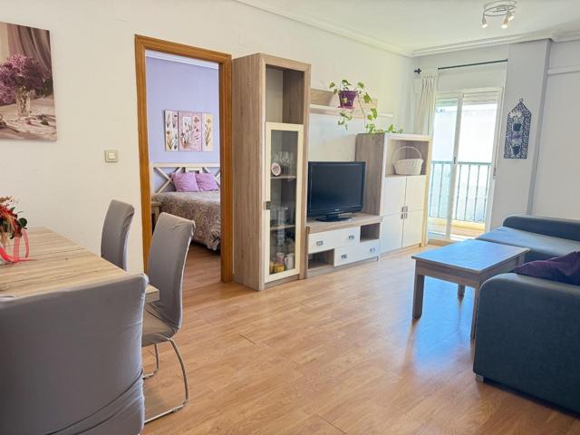 GRAN APARTAMENTO EN TORREVIEJA, 1 HAB, 1 BAÑO photo 0