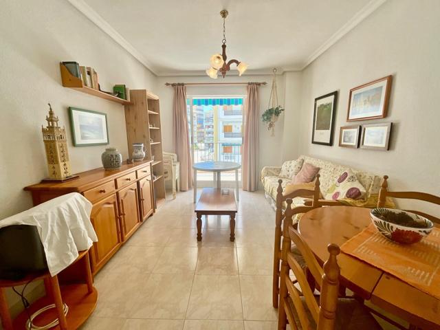 GRAN APARTAMENTO EN TORREVIEJA, 1 HAB, 1 BAÑO photo 0