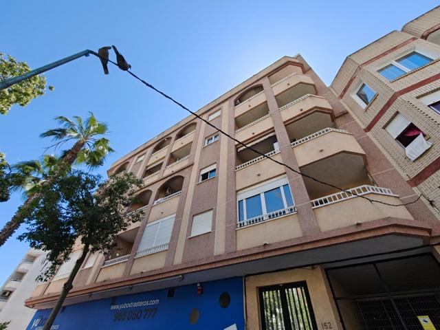 GRAN APARTAMENTO EN TORREVIEJA, 1 HAB, 1 BAÑO photo 0