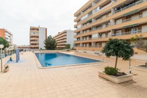 GRAN APARTAMENTO EN TORREVIEJA, 2 HAB, 1 BAÑO photo 0