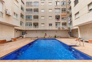 GRAN APARTAMENTO EN TORREVIEJA, 1 HAB, 1 BAÑO photo 0