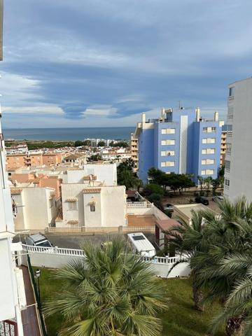 GRAN ESTUDIO CON VISTAS AL MAR EN TORREVIEJA, 1 BAÑO photo 0
