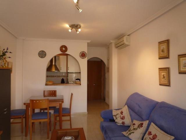GRAN APARTAMENTO EN TORTREVIEJA, 2 HAB, 1 BAÑO photo 0
