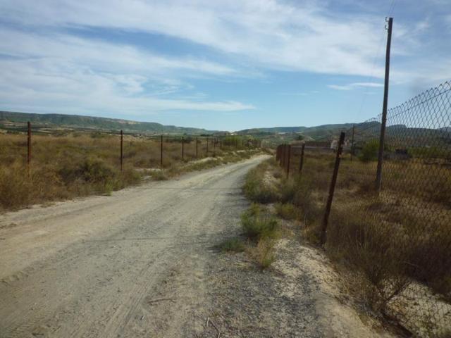 GRAN FINCA EN TORREMENDO photo 0