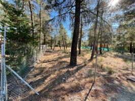 GRUPO BEST SEGOVIA VENDE PARCELA DE 2.500 M², EN MARUGÁN (SEGOVIA). photo 0