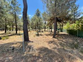 GRUPO BEST SEGOVIA VENDE PARCELA DE 2.500 M², EN MARUGÁN (SEGOVIA). photo 0