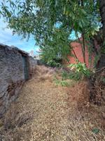 CASA CON TERRENO, PARA REHABILITAR (ARAGONESES, ÁREA SANTA MARÍA LA REAL DE NIEVA) photo 0