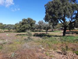 Terreno en venta en Las Vaguadas-Urbanizaciones Sur-Corazón de Jesús photo 0