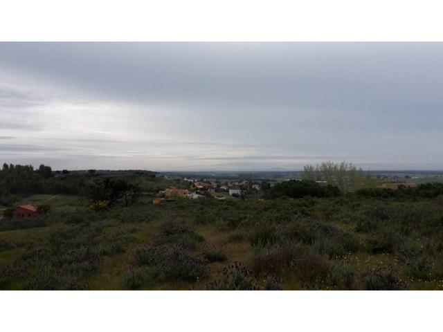 Terreno en venta en Los Montitos-Área Carretera de Sevilla photo 0