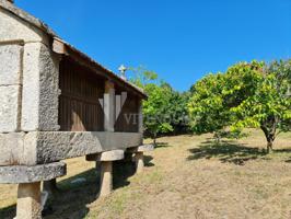 TIERRAS RICAS POR SU GASTRONOMÍA photo 0