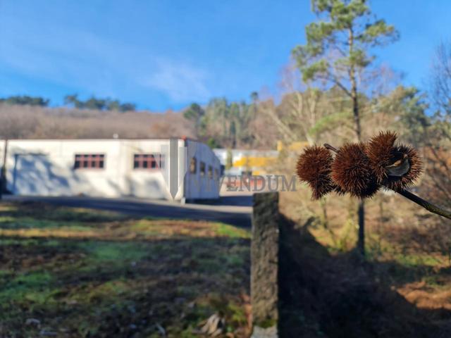 CAMPA MANIOBRAS 5800M2 photo 0