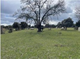 Terreno Urbanizable En venta en Romacalderas, Galapagar photo 0
