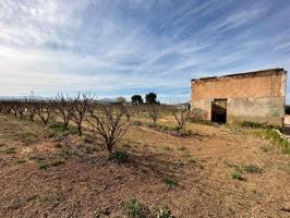 Caseta rural a pocos metros de la población de Benimodo photo 0