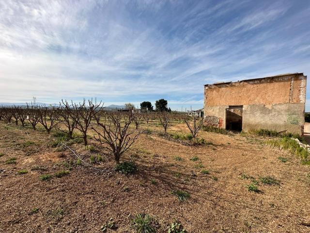 Caseta rural a pocos metros de la población de Benimodo photo 0