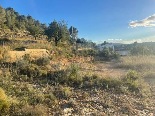 Parcela rústica en Llombai situado en la zona Atalaya photo 0