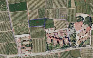 ¡OPORTUNIDAD! VENTA DE TERRENO AGRÍCOLA EN CARLET – CERCA DEL INSTITUTO 9 D'OCTUBRE Y RESIDENCIA DE photo 0