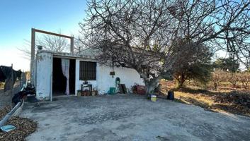 CASITA DE CAMPO DE 150M2 EN EL CAMINO DE LA TANCADETA DE ALGEMESI photo 0