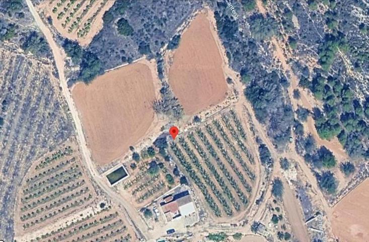 Casa de campo rústica con gran extensión de terreno en La Garrofera (Tous) photo 0