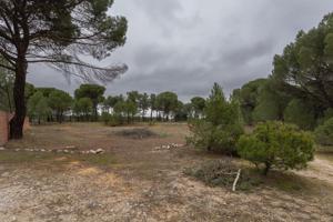 Terreno urbano en Tudela de Duero photo 0